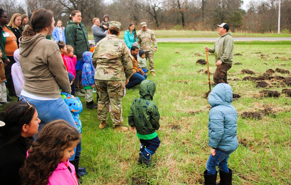How Tree City USA works, plus how Fort McCoy earned its 37-year streak