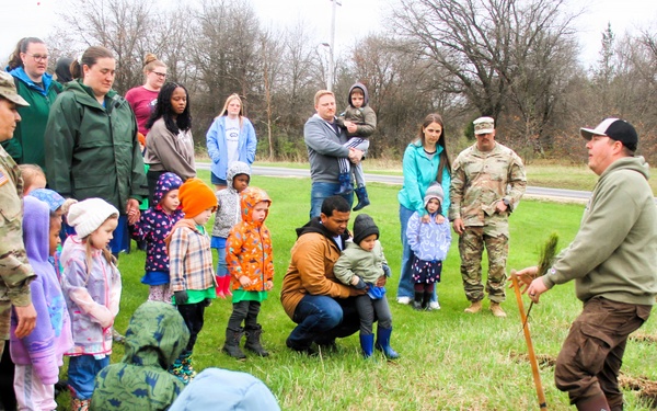How Tree City USA works, plus how Fort McCoy earned its 37-year streak