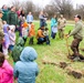 How Tree City USA works, plus how Fort McCoy earned its 37-year streak