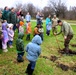 How Tree City USA works, plus how Fort McCoy earned its 37-year streak