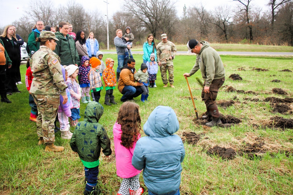 How Tree City USA works, plus how Fort McCoy earned its 37-year streak