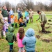 How Tree City USA works, plus how Fort McCoy earned its 37-year streak