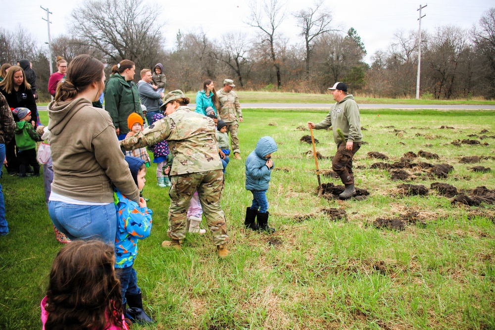 How Tree City USA works, plus how Fort McCoy earned its 37-year streak