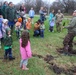 How Tree City USA works, plus how Fort McCoy earned its 37-year streak