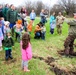 How Tree City USA works, plus how Fort McCoy earned its 37-year streak