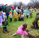 How Tree City USA works, plus how Fort McCoy earned its 37-year streak