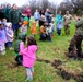 How Tree City USA works, plus how Fort McCoy earned its 37-year streak