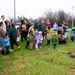 How Tree City USA works, plus how Fort McCoy earned its 37-year streak