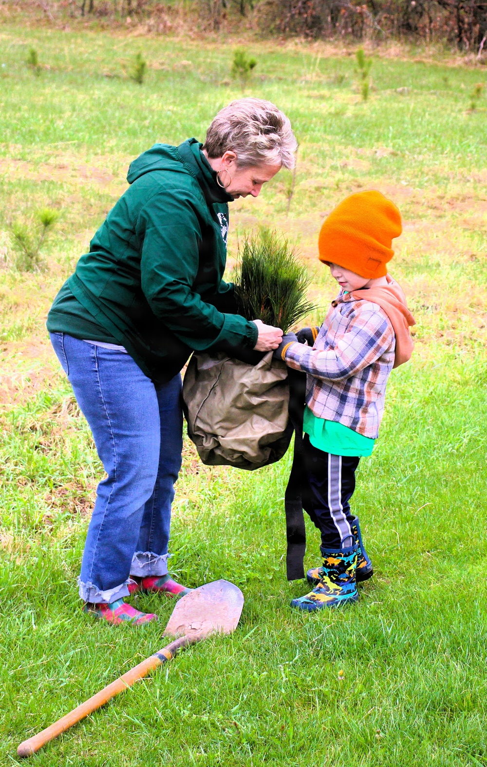 How Tree City USA works, plus how Fort McCoy earned its 37-year streak