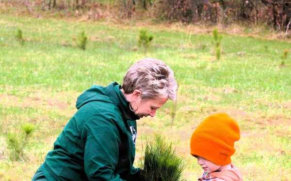 How Tree City USA works, plus how Fort McCoy earned its 37-year streak