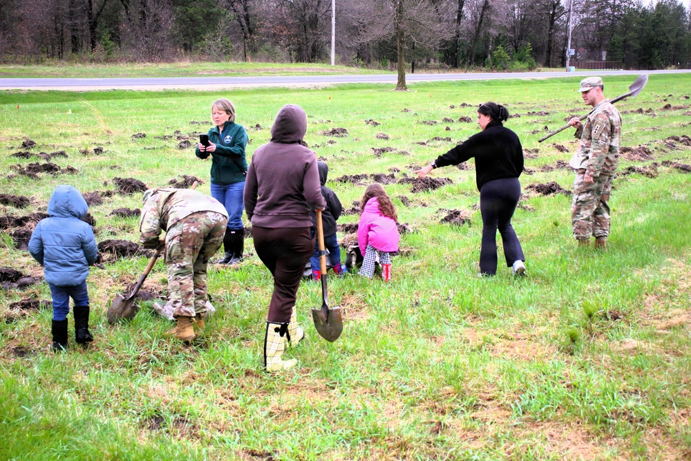 How Tree City USA works, plus how Fort McCoy earned its 37-year streak