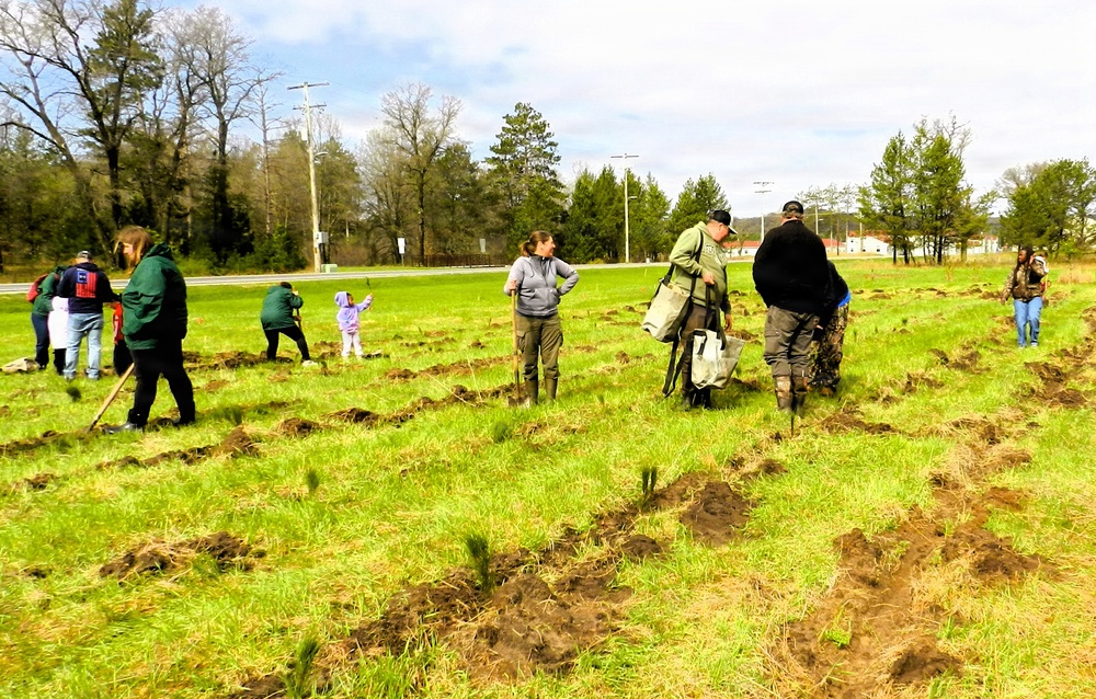 How Tree City USA works, plus how Fort McCoy earned its 37-year streak