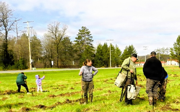 How Tree City USA works, plus how Fort McCoy earned its 37-year streak