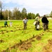 How Tree City USA works, plus how Fort McCoy earned its 37-year streak