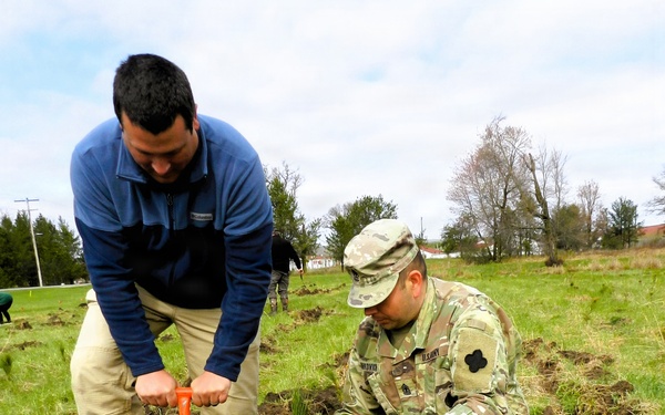 How Tree City USA works, plus how Fort McCoy earned its 37-year streak