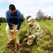 How Tree City USA works, plus how Fort McCoy earned its 37-year streak