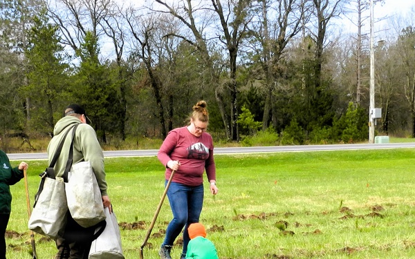 How Tree City USA works, plus how Fort McCoy earned its 37-year streak