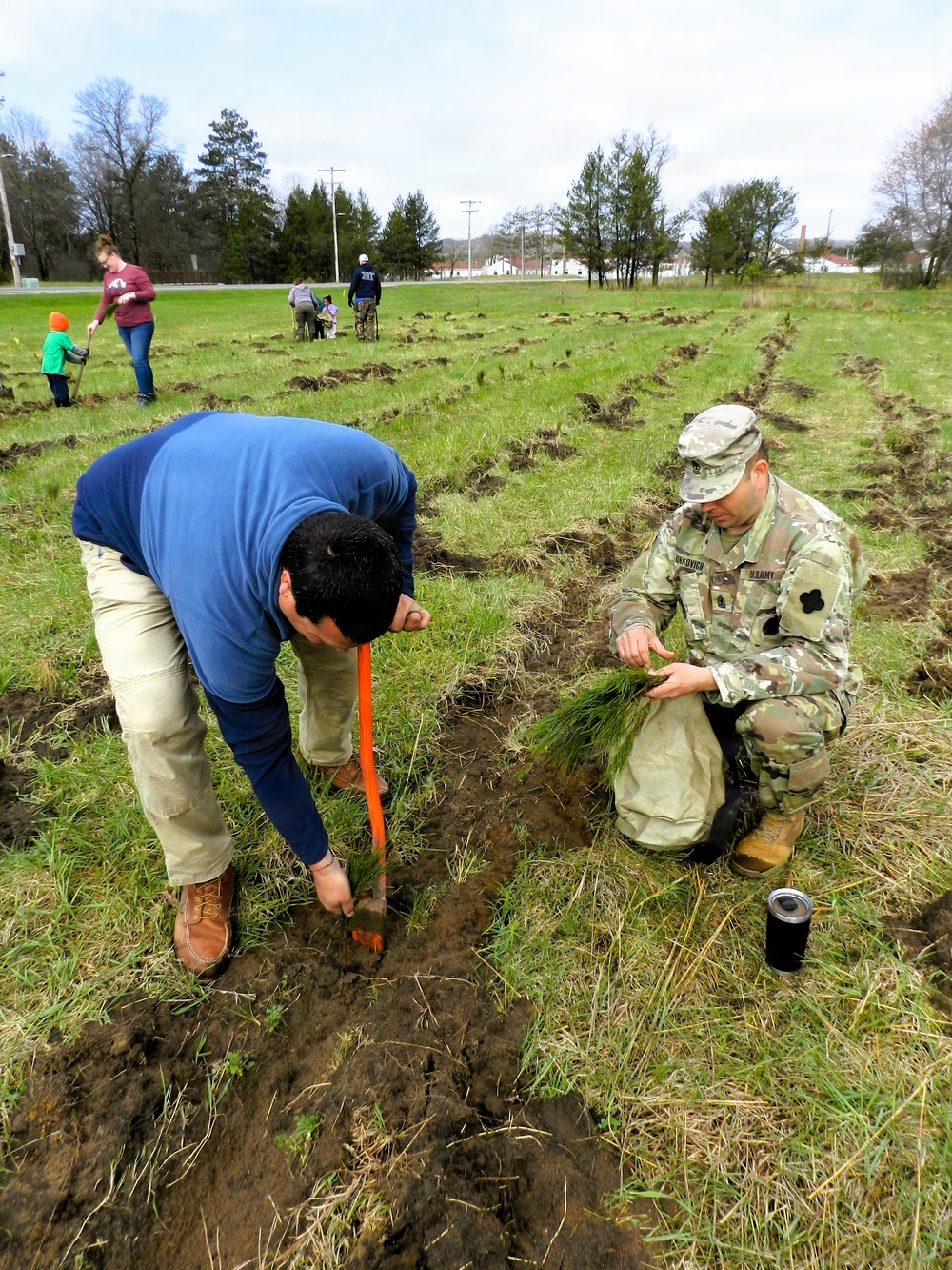 How Tree City USA works, plus how Fort McCoy earned its 37-year streak