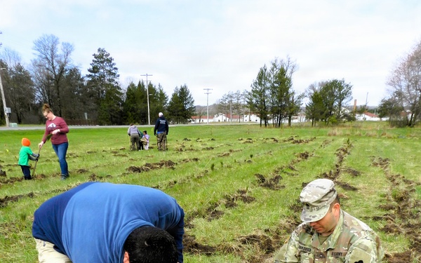 How Tree City USA works, plus how Fort McCoy earned its 37-year streak