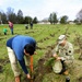 How Tree City USA works, plus how Fort McCoy earned its 37-year streak