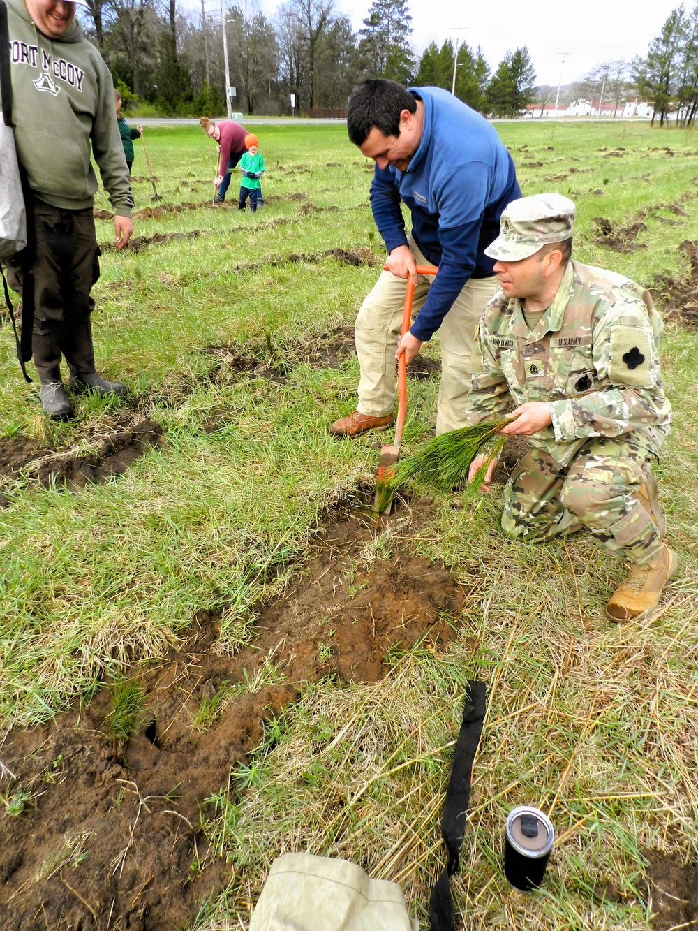 How Tree City USA works, plus how Fort McCoy earned its 37-year streak