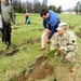 How Tree City USA works, plus how Fort McCoy earned its 37-year streak