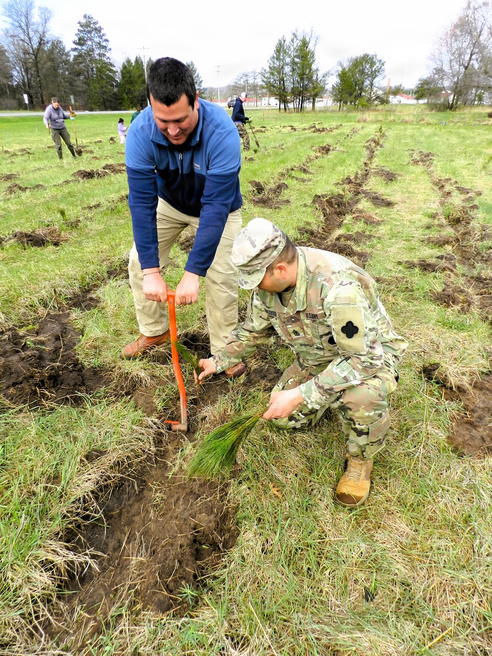 How Tree City USA works, plus how Fort McCoy earned its 37-year streak