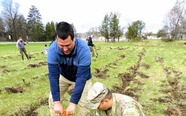 How Tree City USA works, plus how Fort McCoy earned its 37-year streak