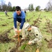 How Tree City USA works, plus how Fort McCoy earned its 37-year streak