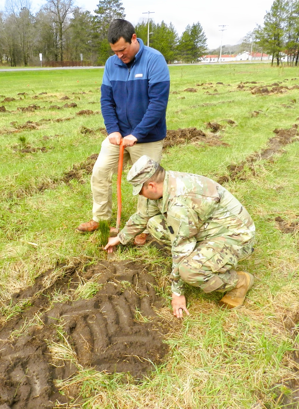 How Tree City USA works, plus how Fort McCoy earned its 37-year streak