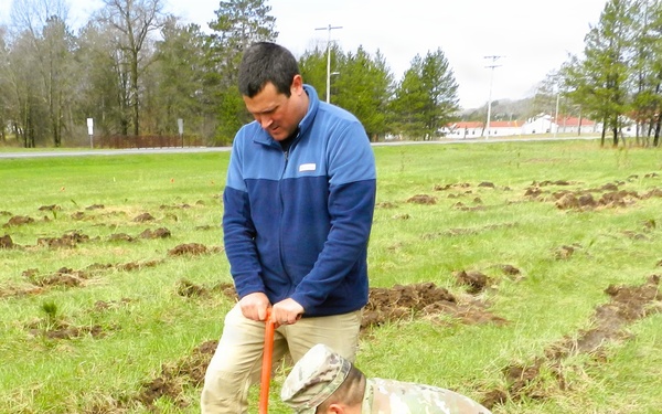 How Tree City USA works, plus how Fort McCoy earned its 37-year streak