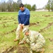How Tree City USA works, plus how Fort McCoy earned its 37-year streak