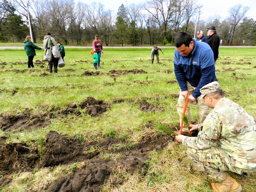 How Tree City USA works, plus how Fort McCoy earned its 37-year streak