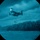 24th MEU: Helicopter Support Team