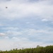 Region II Best Warrior Competitors conduct tactical movements on Camp Dawson