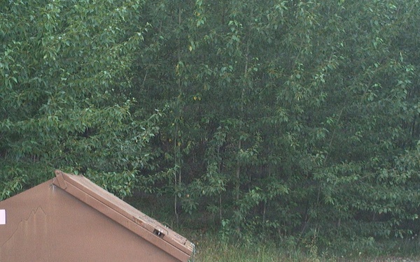 Wildlife-resistant dumpsters roll out across JBER