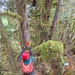 12-Mile Wildlife Habitat Improvement and Commercial Thinning Project