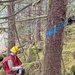 12-Mile Wildlife Habitat Improvement and Commercial Thinning Project