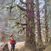 12-Mile Wildlife Habitat Improvement and Commercial Thinning Project