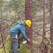 12-Mile Wildlife Habitat Improvement and Commercial Thinning Project