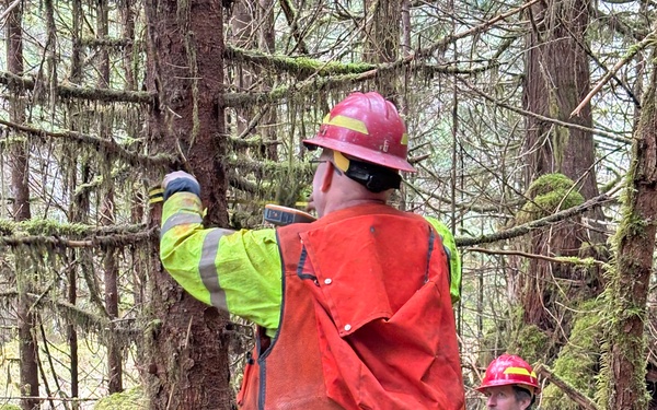12-Mile Wildlife Habitat Improvement and Commercial Thinning Project