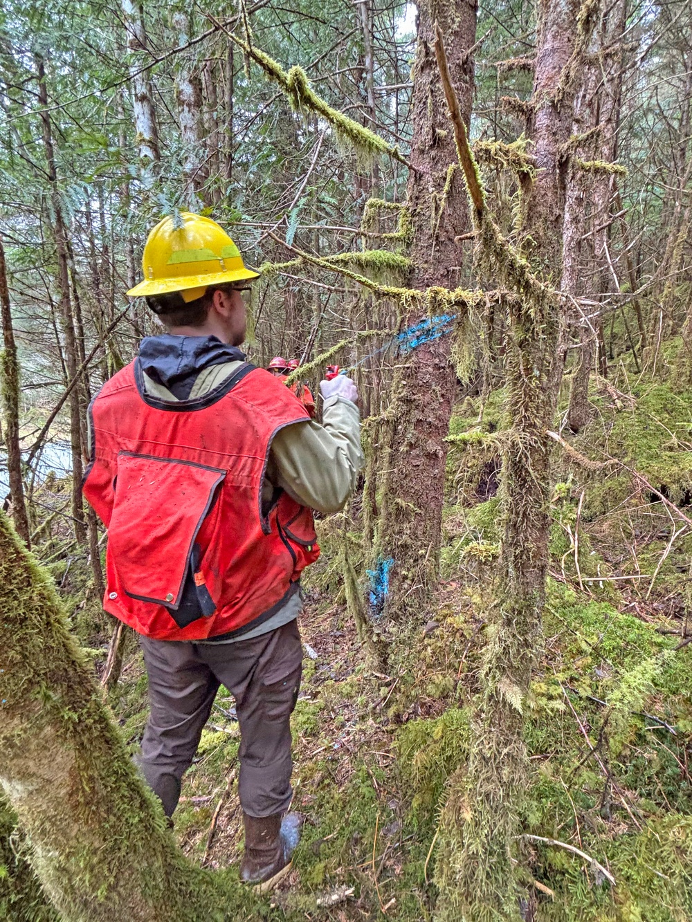 12-Mile Wildlife Habitat Improvement and Commercial Thinning Project