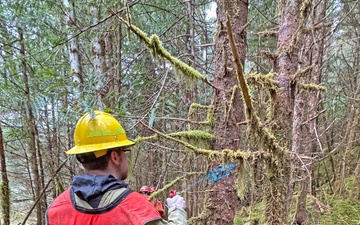 12-Mile Wildlife Habitat Improvement and Commercial Thinning Project