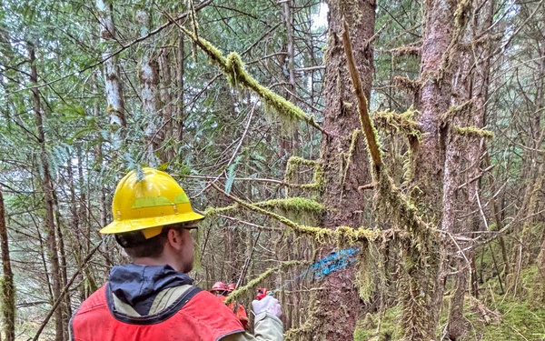 12-Mile Wildlife Habitat Improvement and Commercial Thinning Project