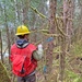 12-Mile Wildlife Habitat Improvement and Commercial Thinning Project
