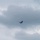 Airpower demonstration for National Security Forum and Gathering of Eagles at Maxwell Air Force Base