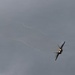 Airpower demonstration for National Security Forum and Gathering of Eagles at Maxwell Air Force Base