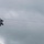 Airpower demonstration for National Security Forum and Gathering of Eagles at Maxwell Air Force Base