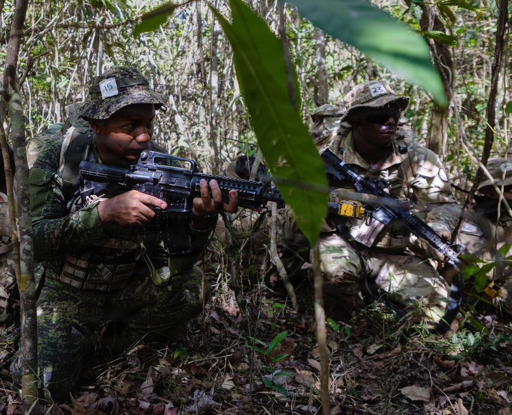 Balikatan 2026: 25th ID Jungle Training