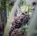 Balikatan 2026: 25th ID Jungle Training